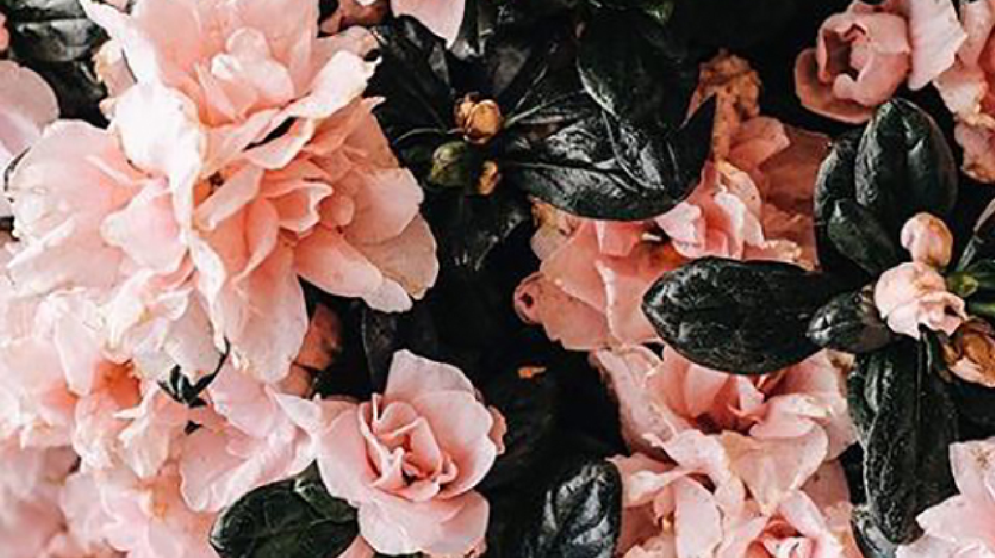 Our Spring/Summer 20 LINGERIE MUST HAVES