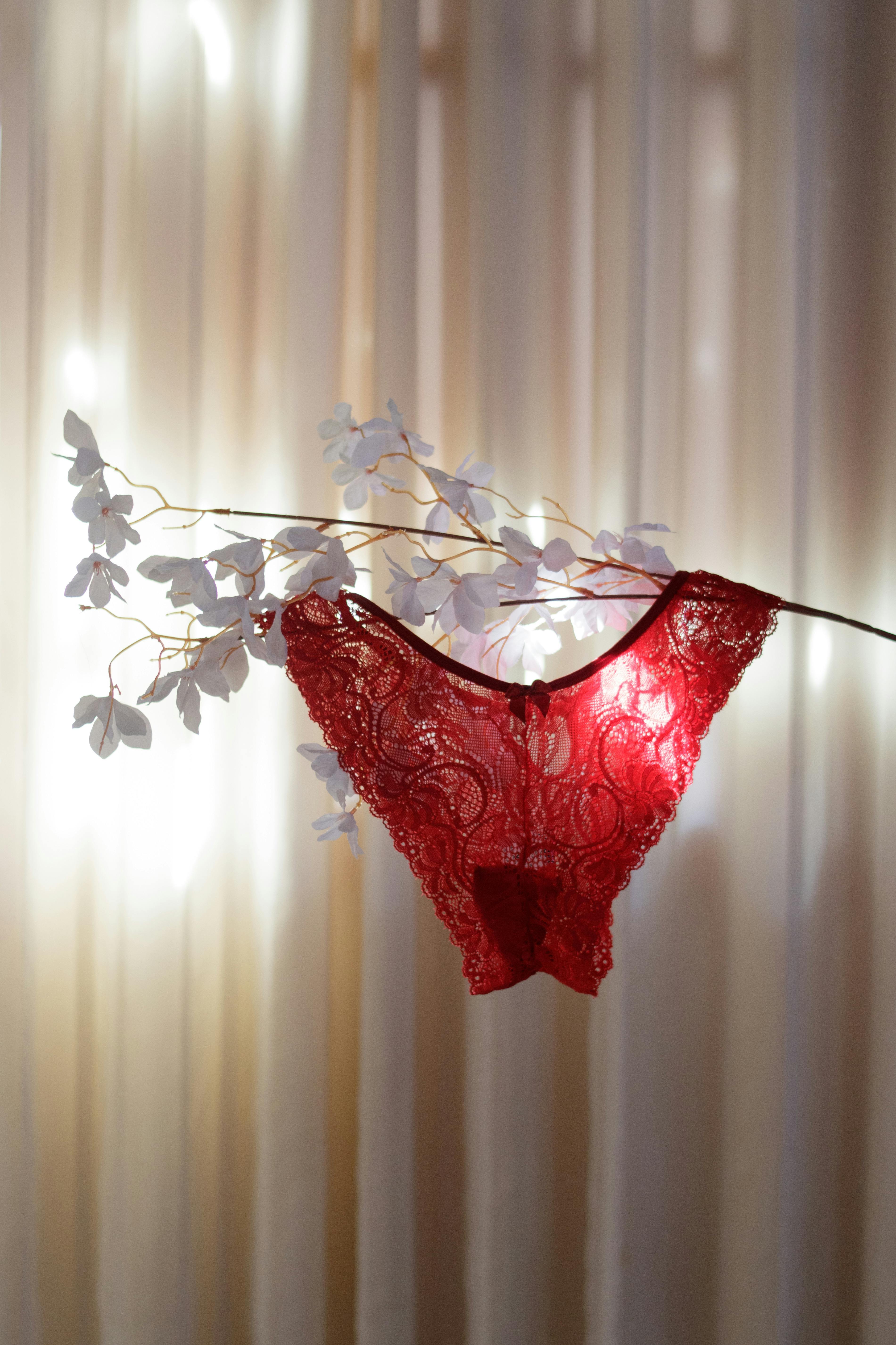Sexy Red Plus Size Lingerie